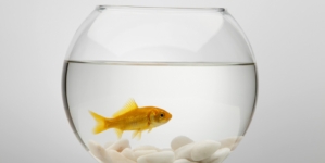 College Student Gets Knock on Door—Not Ready for ‘New Friend’ She Sees