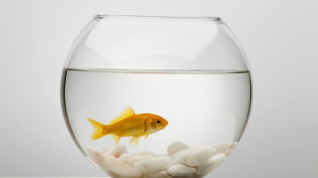 College Student Gets Knock on Door—Not Ready for ‘New Friend’ She Sees