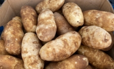 Pantry Item Lays ‘Hidden’ for Months—Family ‘Scared’ by What Emerges