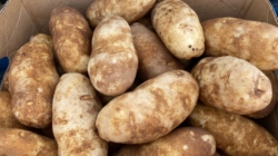 Pantry Item Lays ‘Hidden’ for Months—Family ‘Scared’ by What Emerges