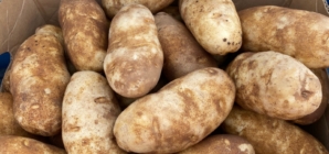 Pantry Item Lays ‘Hidden’ for Months—Family ‘Scared’ by What Emerges