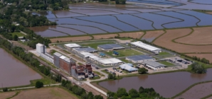 Trump Admin Likely Violated the Law, Federal Judge Warns