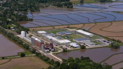 Trump Admin Likely Violated the Law, Federal Judge Warns