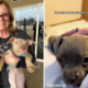 Tiny Foster Puppy With One Eye Grows Up, Tears Over Why It Means So Much