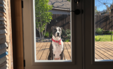 Man Alerts Wife to Someone Outside Home at 6 A.M.—Reality Warms Hearts