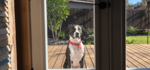 Man Alerts Wife to Someone Outside Home at 6 A.M.—Reality Warms Hearts