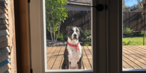 Man Alerts Wife to Someone Outside Home at 6 A.M.—Reality Warms Hearts