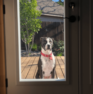 Man Alerts Wife to Someone Outside Home at 6 A.M.—Reality Warms Hearts