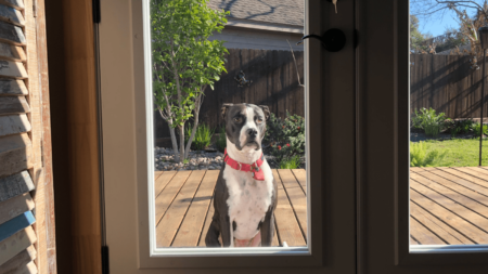 Man Alerts Wife to Someone Outside Home at 6 A.M.—Reality Warms Hearts