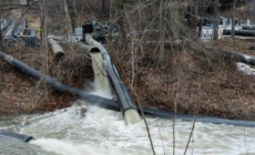 Democrat Facing Backlash for Post on Potomac River Sewage Spill