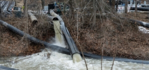 Democrat Facing Backlash for Post on Potomac River Sewage Spill