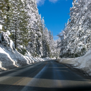 California could see “huge” amounts of snow as residents brace for storm