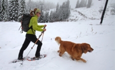 Heavy Snow Warning As 12 Inches To Hit—‘Prepare For Power Outages’