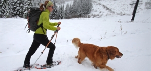 Heavy Snow Warning As 12 Inches To Hit—‘Prepare For Power Outages’