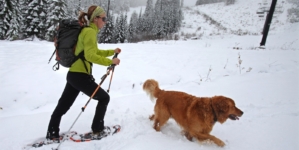 Heavy Snow Warning As 12 Inches To Hit—‘Prepare For Power Outages’