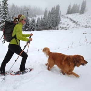 Heavy Snow Warning As 12 Inches To Hit—‘Prepare For Power Outages’