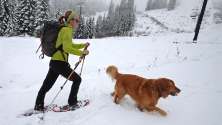 Heavy Snow Warning As 12 Inches To Hit—‘Prepare For Power Outages’