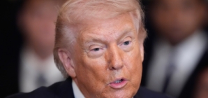 Trump 2nd term approval higher than Obama, Bush within their parties—Polls