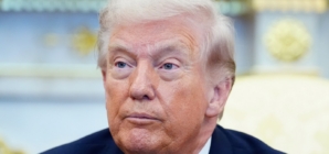 Donald Trump Attacks Democrats For Airport Chaos: ‘Fully To Blame’