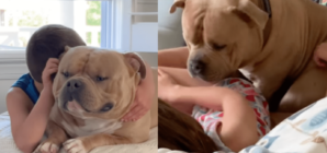 Mom Ignores Warnings Bully Dog Will Turn on Kids One Day—Then Comes Reality