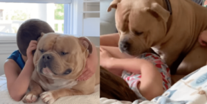 Mom Ignores Warnings Bully Dog Will Turn on Kids One Day—Then Comes Reality