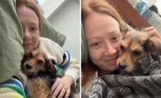 Dog Abandoned in Crate, Left on Street—Hearts Break Over What Follows