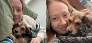 Dog Abandoned in Crate, Left on Street—Hearts Break Over What Follows