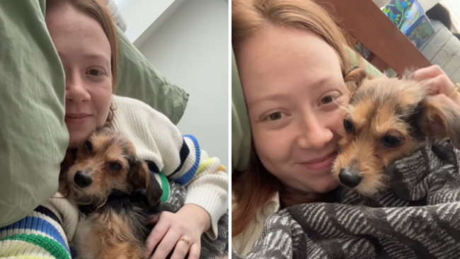 Dog Abandoned in Crate, Left on Street—Hearts Break Over What Follows