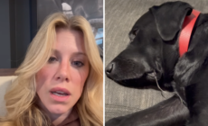 Woman Pays $500 for Pet Sitter—Returns to Horror Scene – Newsweek