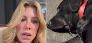 Woman Pays $500 for Pet Sitter—Returns to Horror Scene – Newsweek