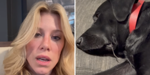 Woman Pays $500 for Pet Sitter—Returns to Horror Scene – Newsweek