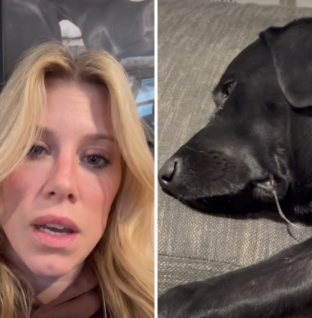 Woman Pays $500 for Pet Sitter—Returns to Horror Scene – Newsweek