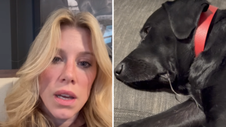 Woman Pays $500 for Pet Sitter—Returns to Horror Scene – Newsweek