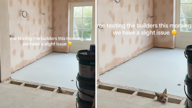 Woman Renovates Home, Then Hears Noise Coming From Floorboards