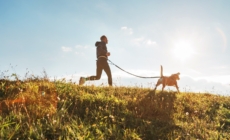 Woman Rewatches Video of Dog Running—Can’t Believe What She Missed