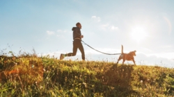 Woman Rewatches Video of Dog Running—Can’t Believe What She Missed    