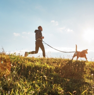 Woman Rewatches Video of Dog Running—Can’t Believe What She Missed    