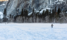 Heavy Snow Warning As 20 Inches To Strike: ‘Avoid Travel’