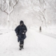New York City Poised to Break 157-Year Weather Record