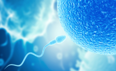 Men’s Sperm Performance May Decrease After a Period of Abstinence