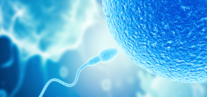 Men’s Sperm Performance May Decrease After a Period of Abstinence