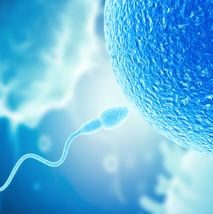 Men’s Sperm Performance May Decrease After a Period of Abstinence