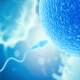 Men’s Sperm Performance May Decrease After a Period of Abstinence
