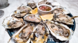 Oysters Recalled in 9 States Over Potentially Severe Illness: ‘Do Not Eat’
