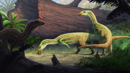 Ancient Croc That Walked on Two Legs Found in Petrified Forest