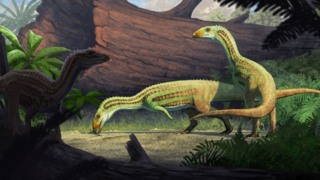 Ancient Croc That Walked on Two Legs Found in Petrified Forest