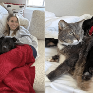 Pup Rescued From Life of Dogfighting Transformed by One Woman and Her Cat