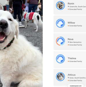 Rescue DNA Tests Great Pyrenees—Fury at Result That Made ‘Stomach Drop’