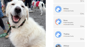 Rescue DNA Tests Great Pyrenees—Fury at Result That Made ‘Stomach Drop’