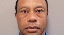 Tiger Woods Arrest Update as Mugshot Released After Crash